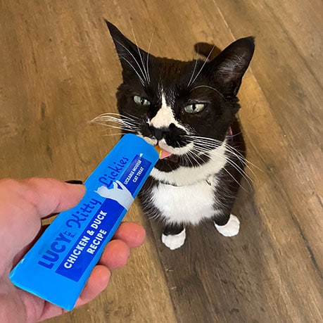 リッキーズ キャットムース チキン&ダック 56.7g