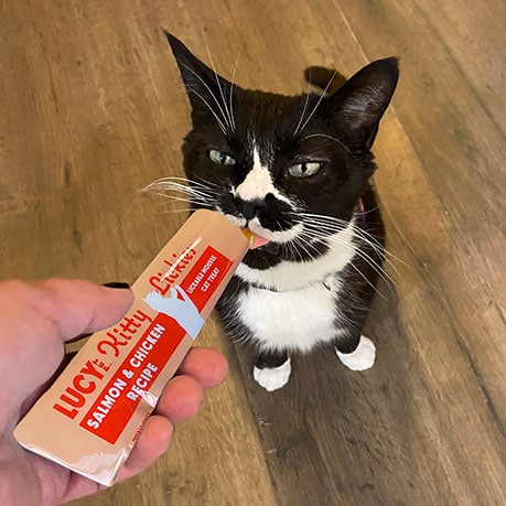 リッキーズ キャットムース サーモン&チキン 56.7g