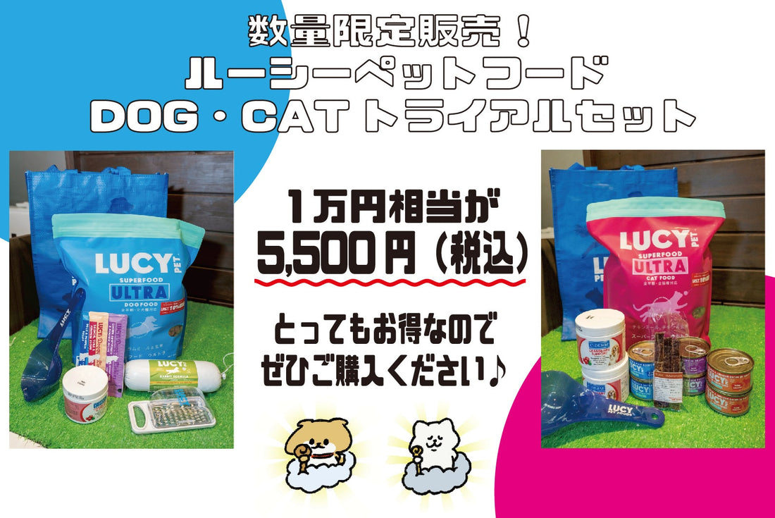 数量限定販売！ルーシーペットフード　トライアルセット