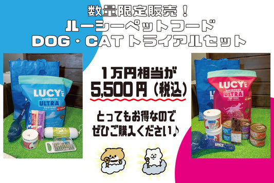数量限定販売！ルーシーペットフード　トライアルセット