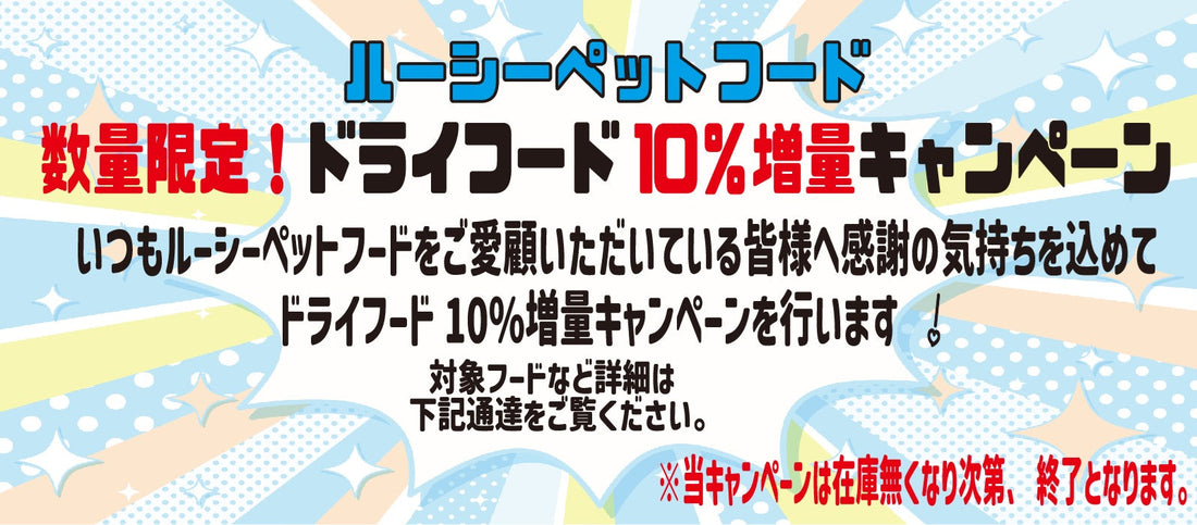 数量限定！ドライフード　新春10％増量キャンペーンのお知らせ