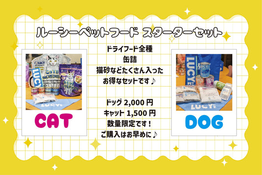 数量限定！ルーシーペットフードスターターセット販売♪