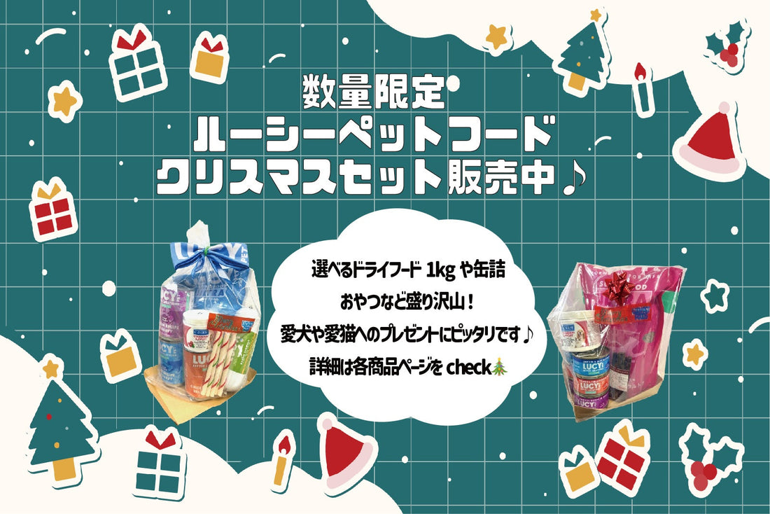 【数量限定】ルーシーペットフード　クリスマスセット販売中♪