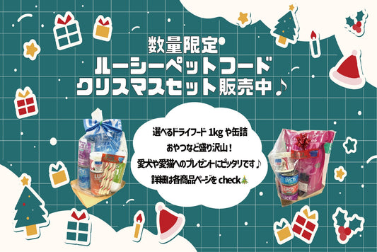 【数量限定】ルーシーペットフード　クリスマスセット販売中♪