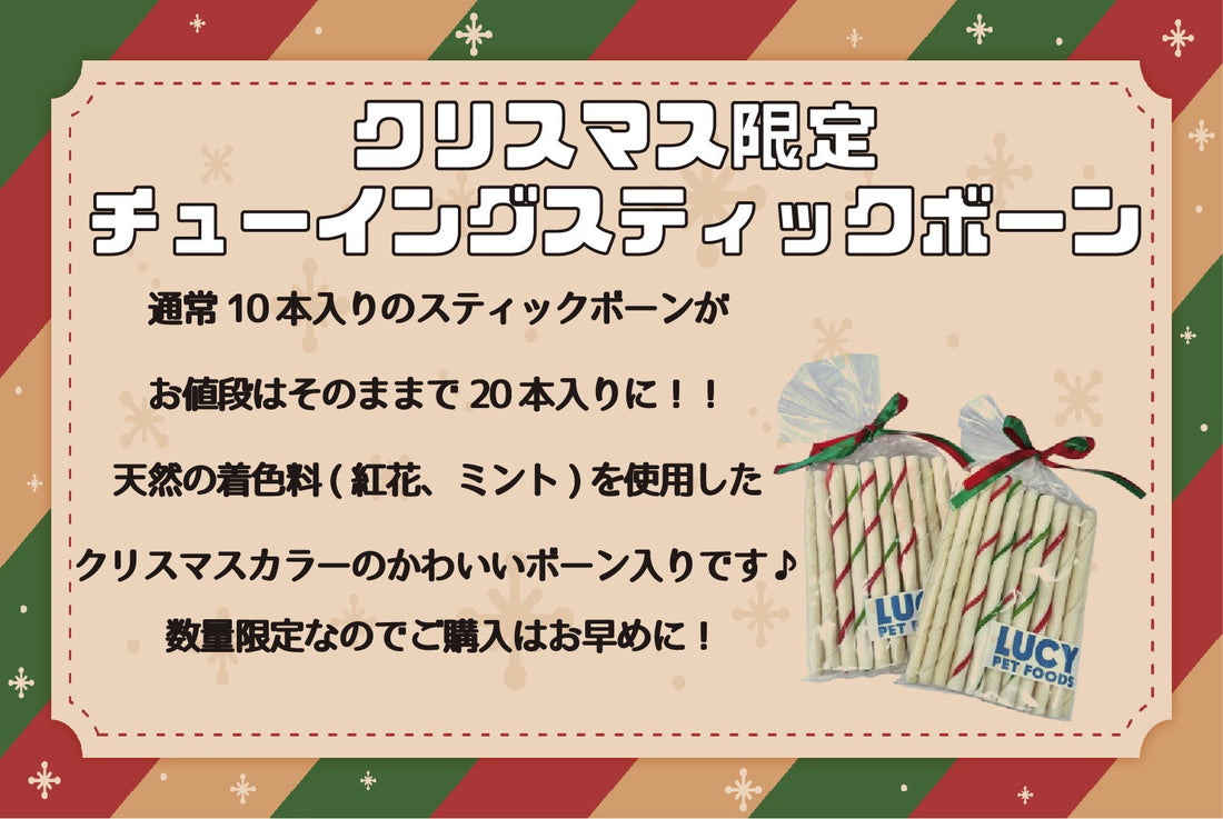 クリスマス限定！チューイングスティックボーン販売開始♪