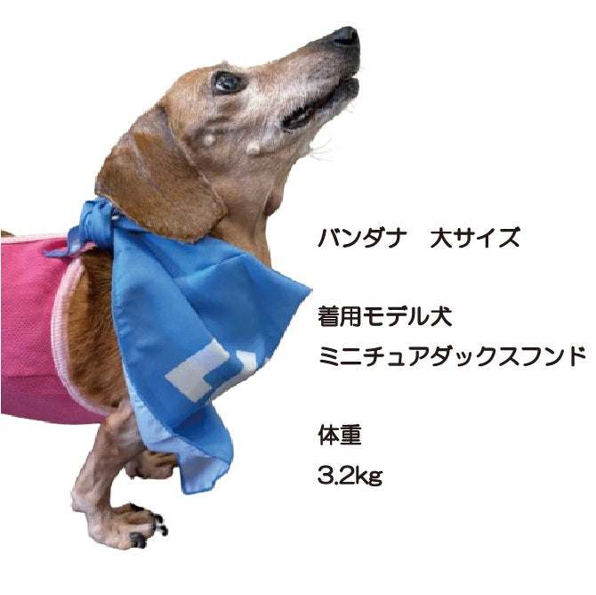 【数量限定】ドッグ ルーシーペットフード クリスマスセット