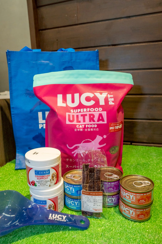 【数量限定】キャット ルーシーペットフード トライアルセット