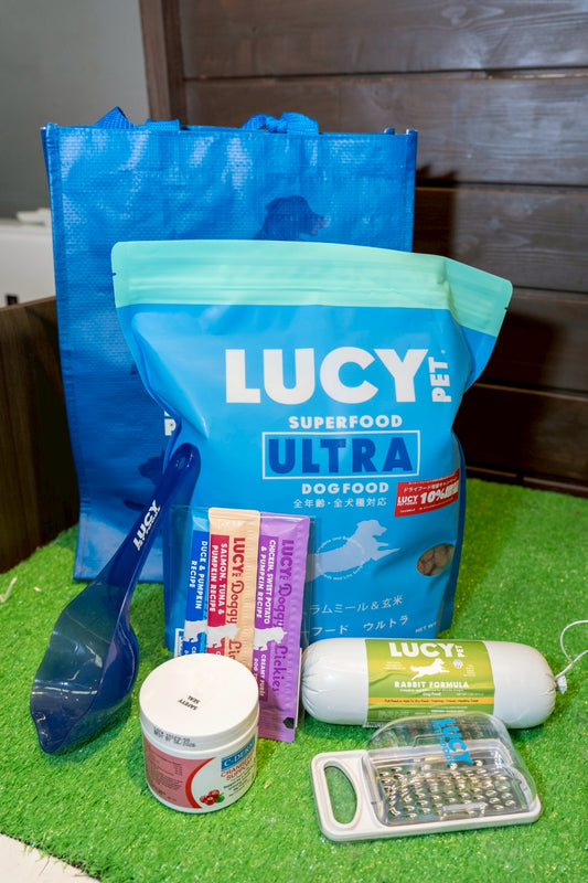 【数量限定】ドッグ ルーシーペットフード トライアルセット