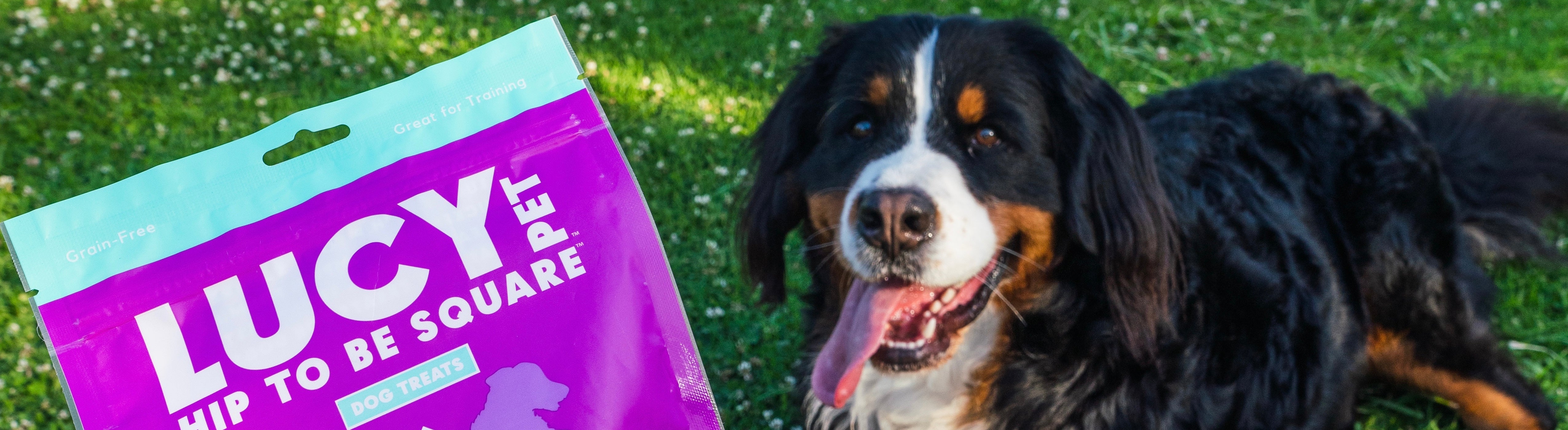 LUCY PET FOODS とは Natural Balance (ナチュラルバランス) & LUCY PET FOODS JAPAN